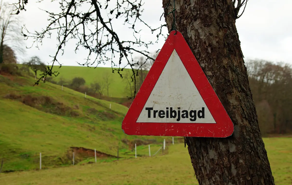 Ein dreieckiges Schild mit der Aufschrift „Treibjagd“ ist an einem Baum befestigt, im Hintergrund ist eine grüne hügelige Landschaft zu sehen.